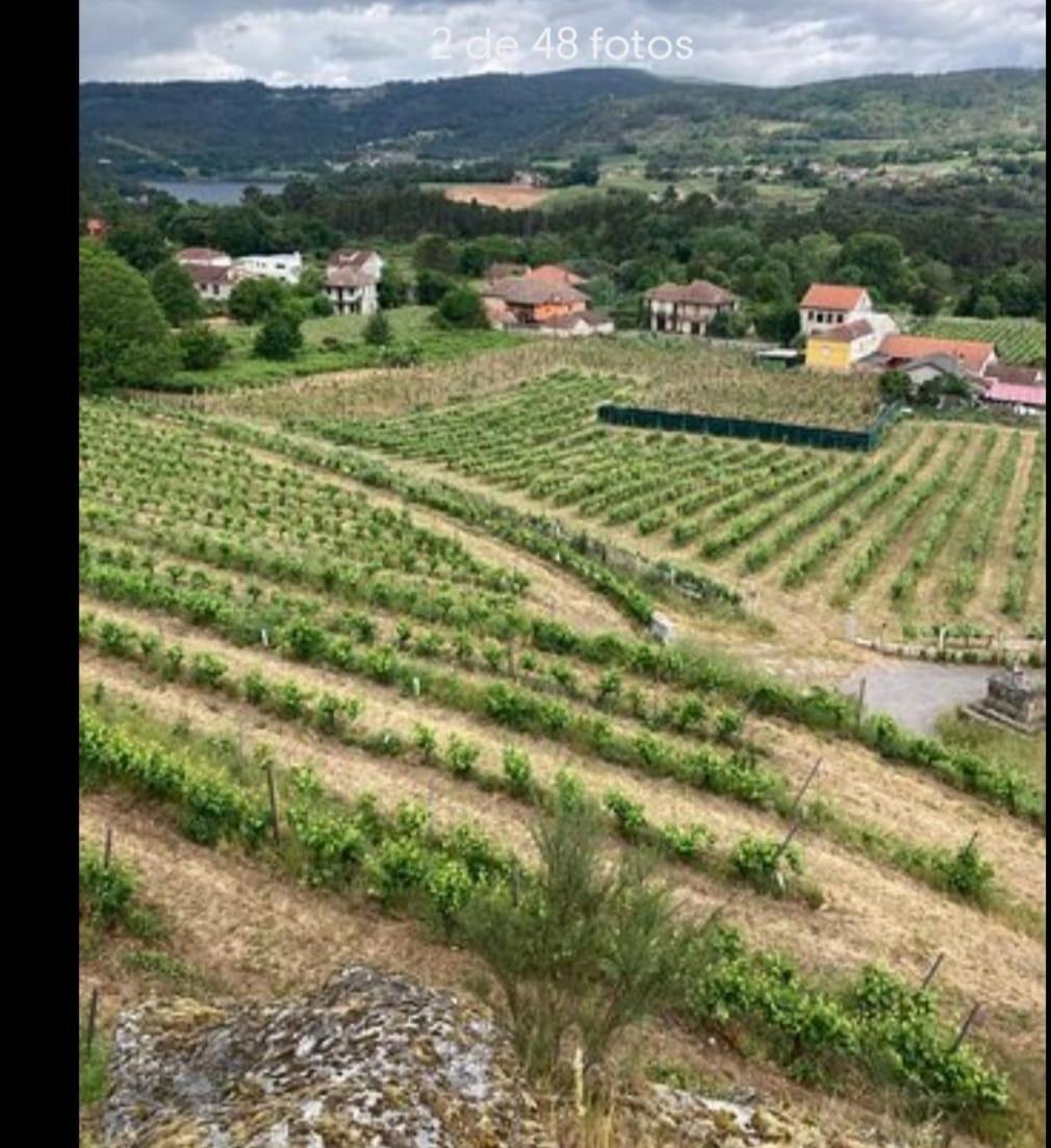 Casa Do Avo * Castrelo de Mino